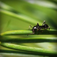 /album/liserekliu/photolia-a05-jpg/