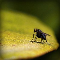/album/liserekliu/photolia-a07-jpg/