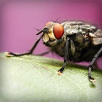 /album/liserekliu/photolia-a08-jpg/